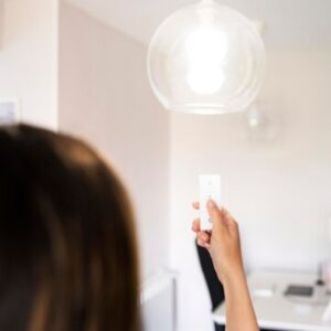Lighting and Electrical Efficiency